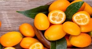 Bunch Fresh Kumquats Organic