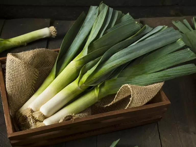 Raw Green Organic Leek