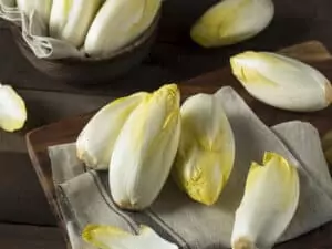 Raw Organic Belgian Endive