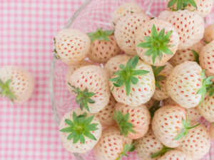 Pineberry