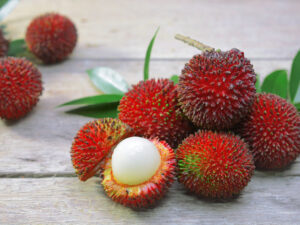 Pulasan Seeds