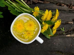 Dandelion Flower Tea Infusion White