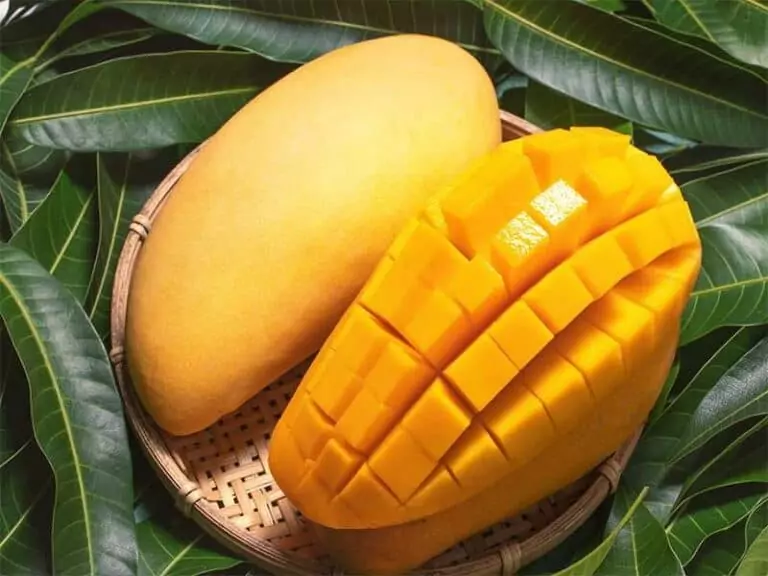 Fresh Mango Juicy Min