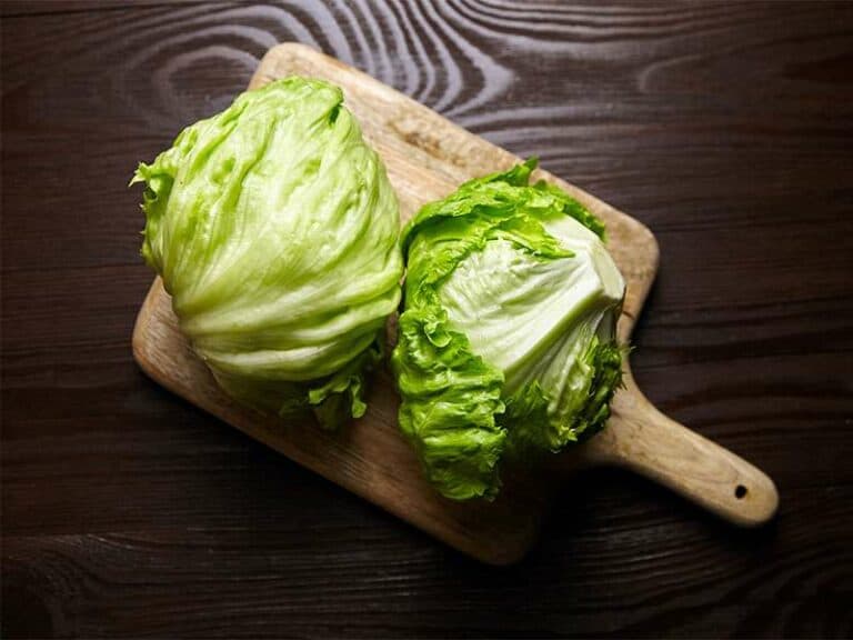 Iceberg Lettuce