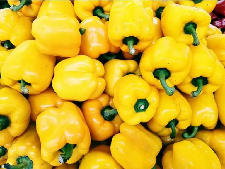 Yellow Bell Pepper Fresh