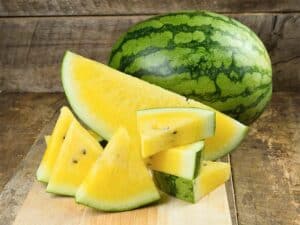 Yellow Watermelon Sliced