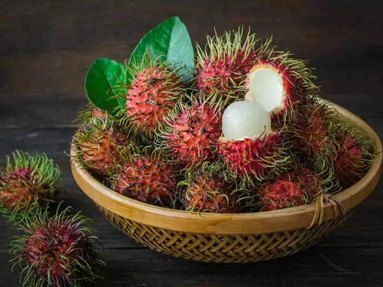 Rambutan Fruits