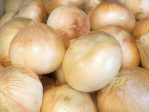 Walla Walla Onion