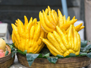 Buddhas Hand Fruit