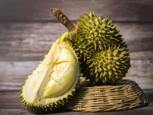 Durian Fruit