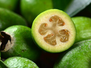 Feijoa Fruit