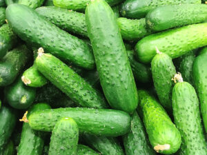 Field Cucumber