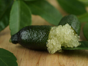 Finger Limes