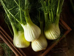 Organic Fennel