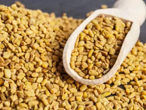 Scoop Fenugreek Seeds