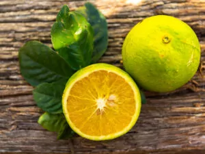 Ugli Fruit