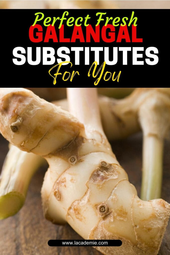 Galangal Substitutes