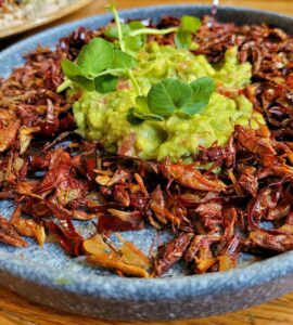 Guacamole Con Chapulines