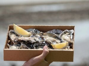 Bluff Oysters