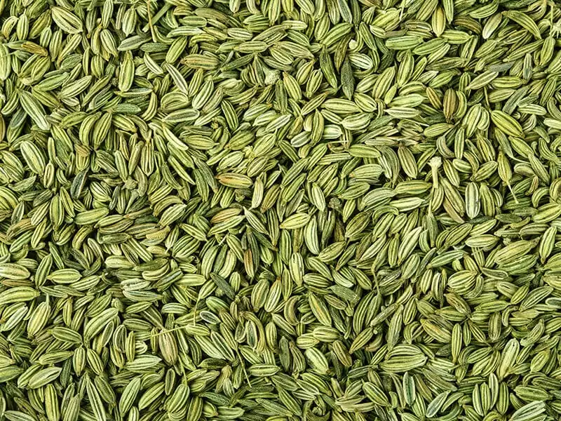 Fennel Seeds