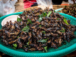 Fried Crickets