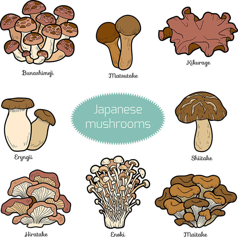 Mushrooms From Japan