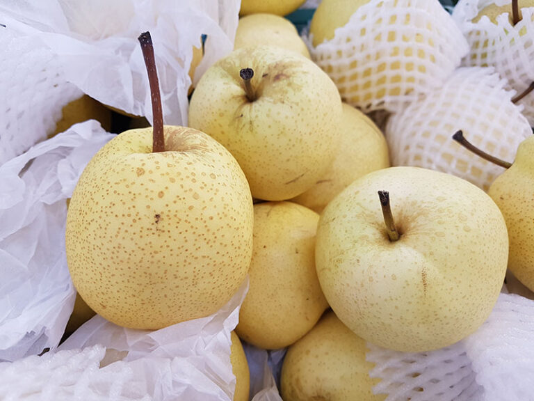 Chinese Pear