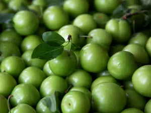 Green Plums