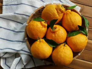 Korean Orange