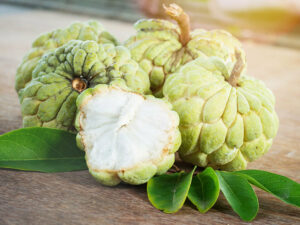 Sugar Apple