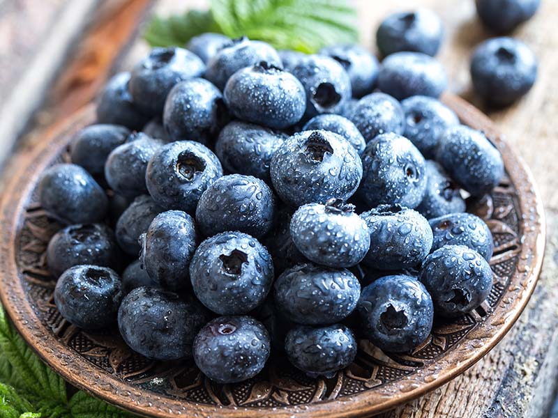 Blueberry Fruits