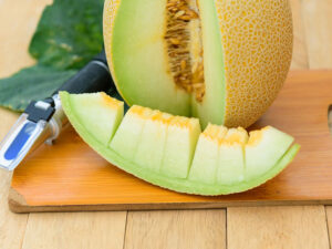 Galia Melon