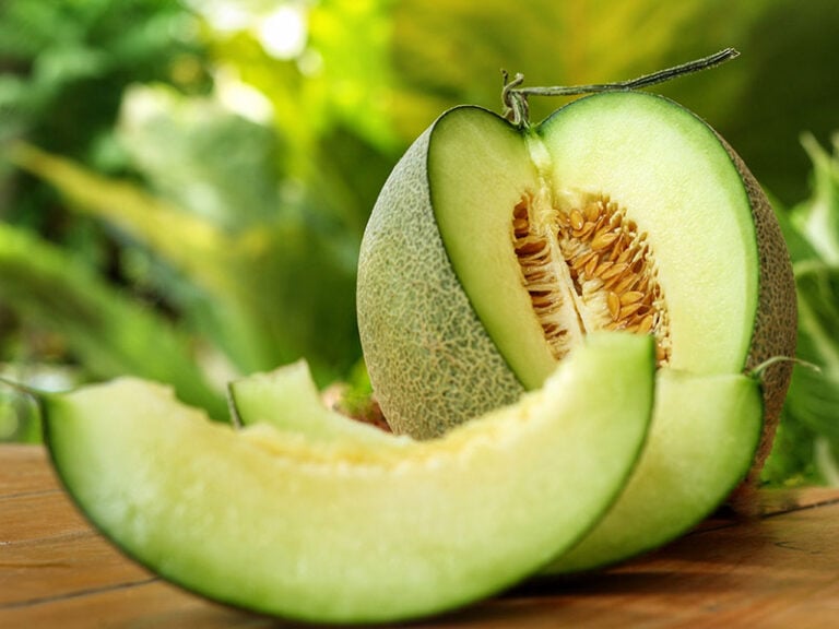 Honeydew Melon