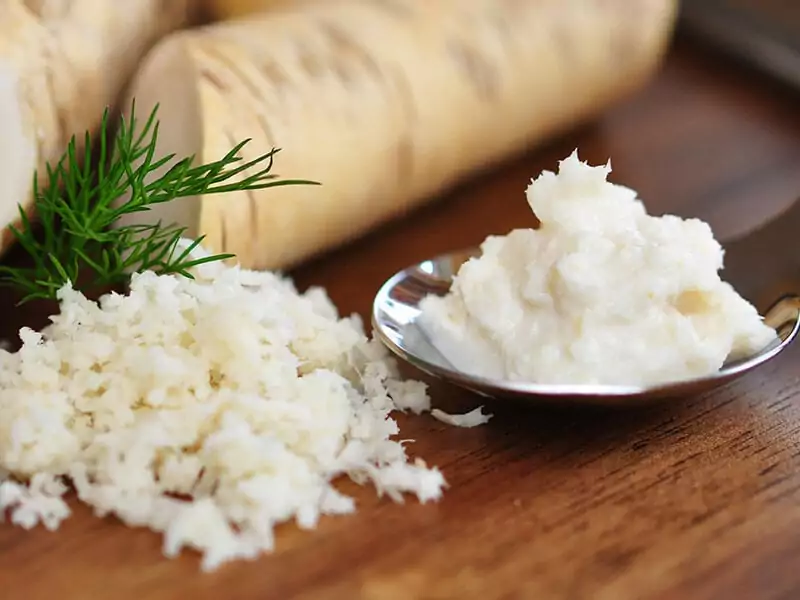 Horseradish Fresh