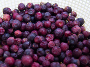 Indian Sherbet Berries
