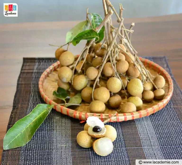 Longan Originates