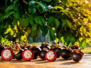 Mangosteen Malay