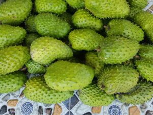 Soursop Cuba