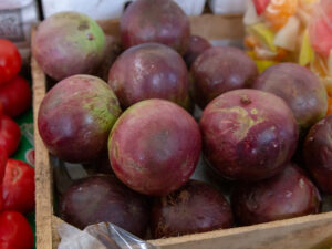 Star Apple Cuba