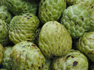 Sweetsop Jamaican