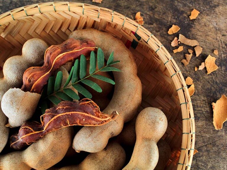 Tamarind Is An Incredible Fruit