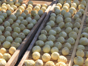 White Figs Fruit