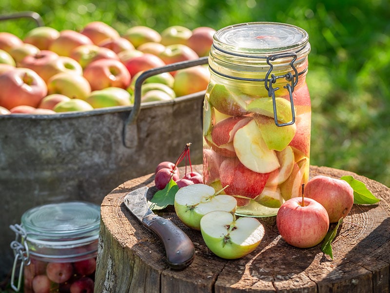 Canned Apple