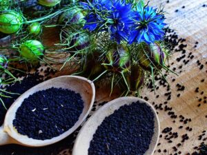 Nigella Fruit