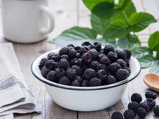 25 Black Fruits with Names and Images