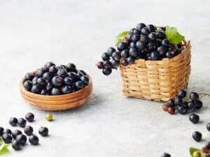 Blackcurrants Bowl