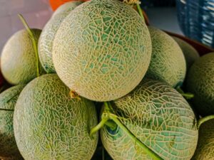 Cantaloupe Summer Fruit