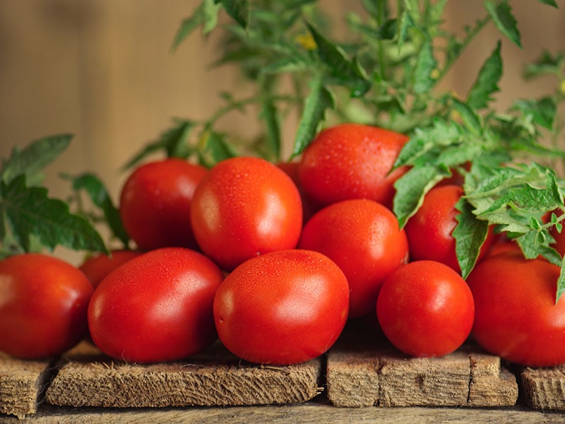 Plum Tomatoes Sauces