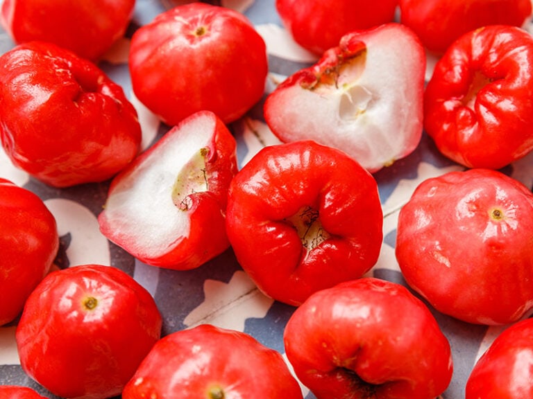 Wax Jambu Fruit