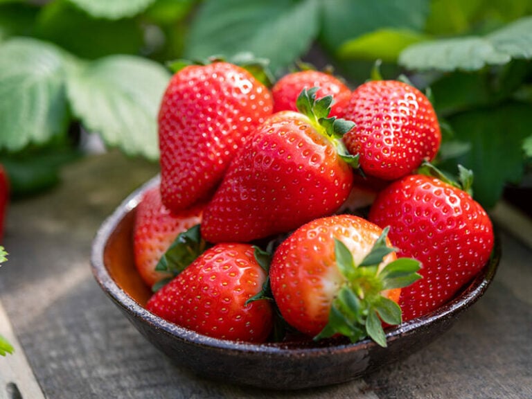 Raspberries vs. Strawberries: Appearance, Flavor, Storage Life